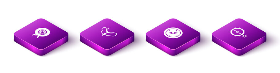 Set Isometric Target sport, Slingshot, Compass and Trap hunting icon. Vector.
