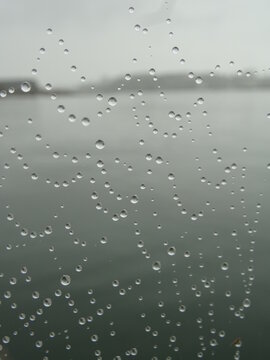 rain drops on spider web with sea behind 