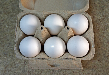 Half a dozen white chicken eggs on cardboard box 