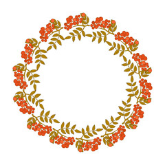 Nature background. Rowan branches with leaves on a white background.