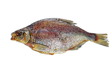 Giant cured bream fish isolated on a white background