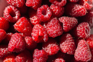 background from berries of a raspberry