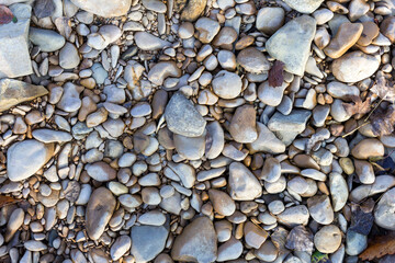 Natural river stony bottom, shallow riverbed during autumn weather on a Sunny day in a mountainous area.