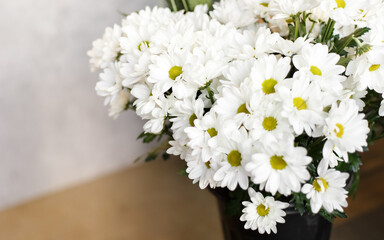Obraz premium bouquet of white daisies in a vase