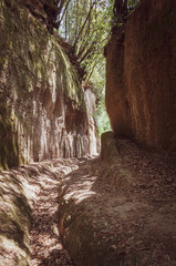 Vie cave are old roads carved in stone by Etruscan civilization centuries ago to connect cities like Sovana, Sorano, Pitigliano. Tuscany, Italy