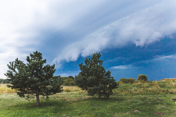 storm clouds over the field and trees