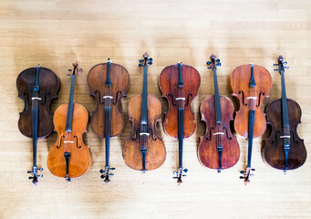 A row of cellos