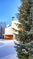 wooden made house in the winter forest