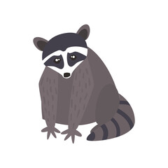 cute raccoon animal on white background