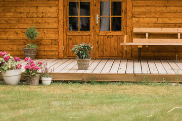 Oleander plants and hydrangeas stand in the garden on a wooden floor next to a wooden garden shed