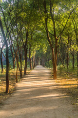 Various views of Punit Van park in Gandhinagar
