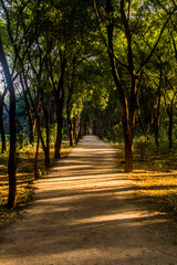 Naklejka premium Various views of Punit Van park in Gandhinagar