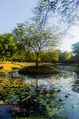 Fototapeta na wymiar Various views of Punit Van park in Gandhinagar