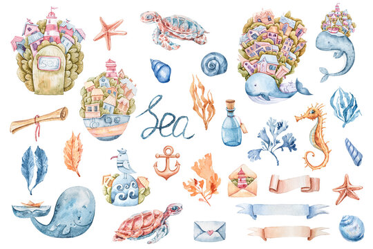 Watercolor cute sea animals clipart. Cartoon nursery illustration isolated on a white background. Hand painted illustration for sticker, pattern, baby shower, birthday invitation, poster, sublimation