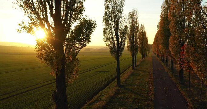 Regenerative Energien der &ouml;konomischen Landwirtschaft Intro Luftaufnahme Naturschutz Solarenergie
