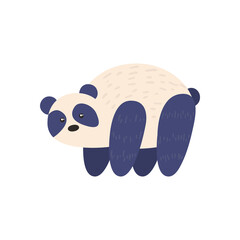 cute panda bear animal on white background
