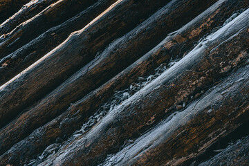 Frozen wood logs texture background
