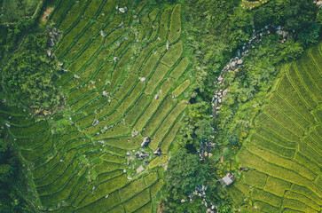 Aerial view of Nang Lae Nai Rice Terraces in Chiang Rai, Chiang Mai province, Thailand