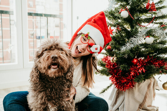 Funny Young Woman Dressed Up With Christmas Props Playing With Her Cute Spanish Water Dog At Home. Christmas Time