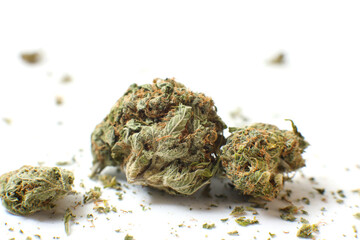 Cannabis branch and joint isolated in a white background. Marijuana legalization. Medical cannabis. Drug addiction.	