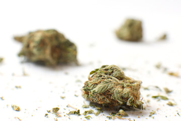 Cannabis branch and joint isolated in a white background. Marijuana legalization. Medical cannabis. Drug addiction.	