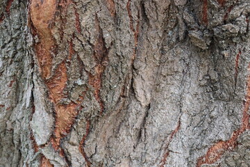 texture