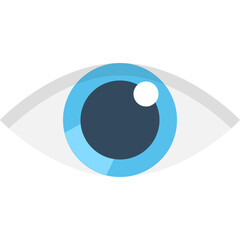 
Eye Flat Vector Icon
