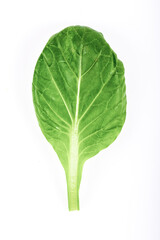 Obraz premium Fresh Tatsoi salad isolated on white background