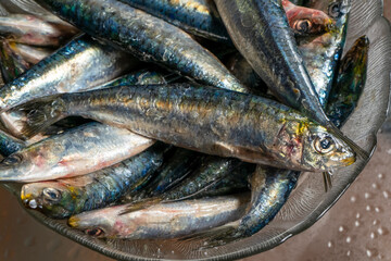 Strong men's hands preparing a skewer of fresh salty sardines in a glass bowl with a cane