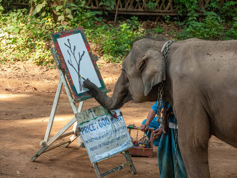 Elephant painting at a tourist attraction in Thailand