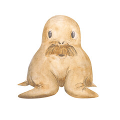 Watercolor walrus isolated on a white background. Hand-drawn antarctic animal for your design. Cute illustration.