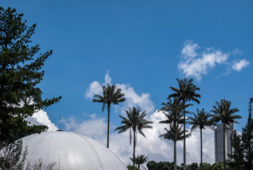 Las palmas de la ciudad 