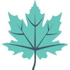 
Maple Leaf Flat Vector Icon 
