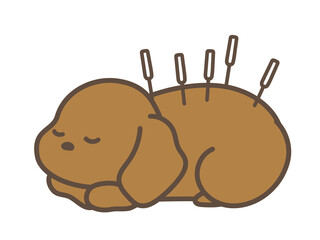 動物病院　鍼灸治療　犬