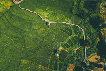 Bamboo Bridge in Pai, Mae Hong Son, Chiang Mai, thailand