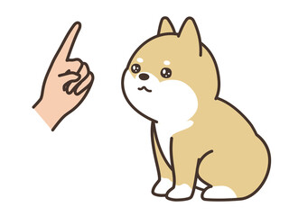 犬のトレーニング　柴犬