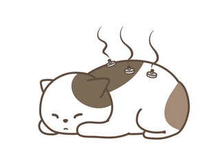 動物病院　鍼灸治療　お灸　猫