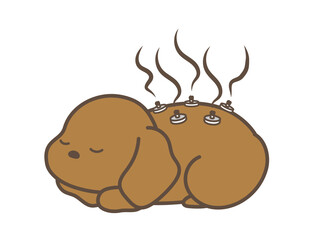 動物病院　鍼灸治療　お灸　犬