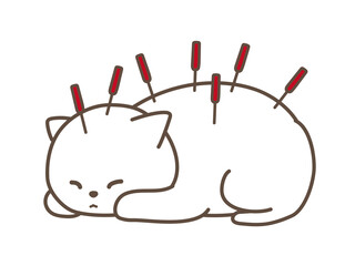 動物病院　鍼灸治療　白猫