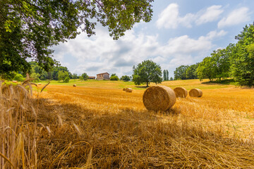 Fototapeta premium A beautiful summer day in the countryside of France