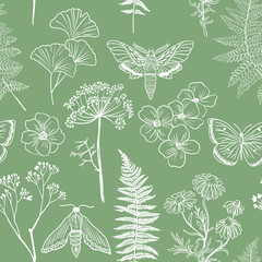 Moths, butterfly and grass seamless pattern. Hand-painted texture with Botanical elements: plants, flowers, grass, berries, fern, leaves. Natural repeating background