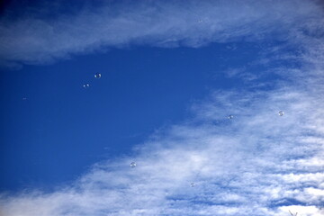 Seifenblasen fliegen in den blauen Himmel