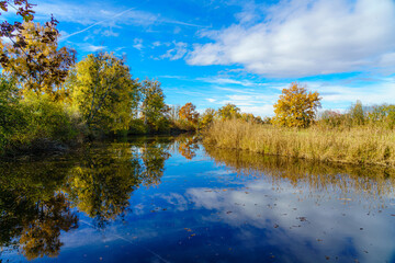 leuchtender Herbsttag im Naturschutzgebiet Eriskircher Ried,  Mündung der Schussen in den Bodensee