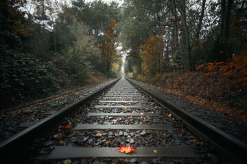 Railroad in autumn