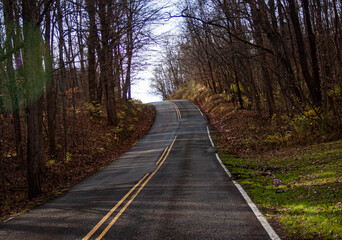Obraz premium a road leading through the woods 