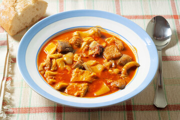 beef tripe stew with  red paprika named callos in spain , typical food