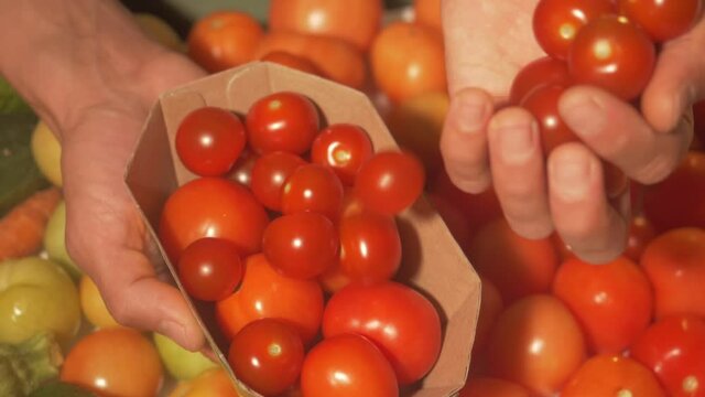 packing fresh red cherry tomatoes. ipe tomatoes in a cardboard container. Farmer packing fresh harvest vegetables for courier delivery food home. Delivery of food in quarantine. online shopping
