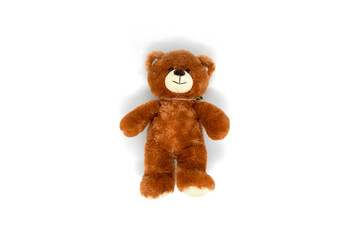 Teddy bear on white background