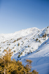 Mountain peaks covered with snow in Uzbekistan on a clear day. Beldersay ski resort