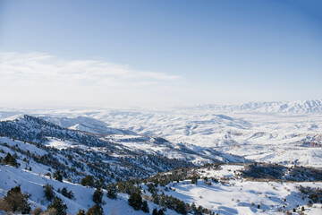 Fototapeta premium Frosty mountain day,a wintry scene. Awesome mountain winter snowy landscape with trees and peaks in Uzbekistan. Beldersay ski resort